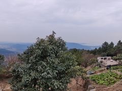 -雨花胜境