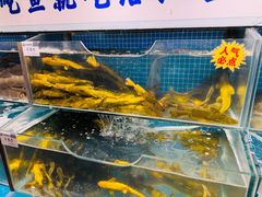 -胖姐渔村(中源大道店)