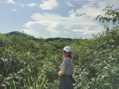 -飞天山旅游区