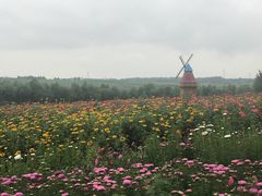 -北纬44度·金珠花海休闲农业旅游景区