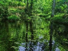 -素山寺森林公园