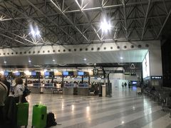 -米兰马尔彭萨国际机场