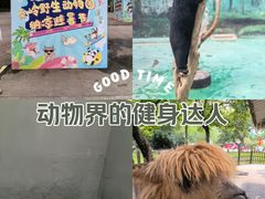 -西安秦岭野生动物园