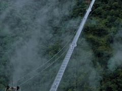 -南丹山森林王国