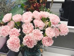 -茶马花街(城西银泰城店)