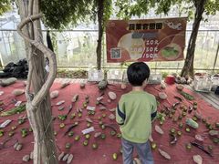 -前小桔亲子创意农场·草莓采摘·露营烧烤