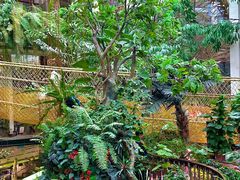 -正佳雨林生态植物园