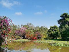 -中国科学院西双版纳热带植物园