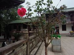 -南华禅寺