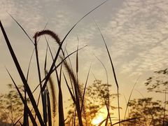 -白石龙音乐公园