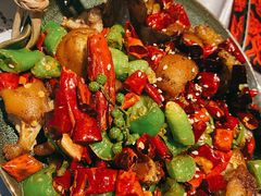 -红辣椒·川菜·火锅(张杨路店)