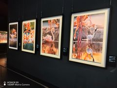 -罗红摄影艺术馆