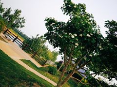 -君乐宝优致牧场