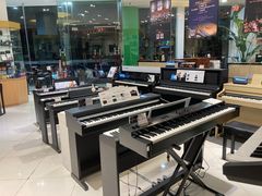 -柏斯琴行(汾阳店)