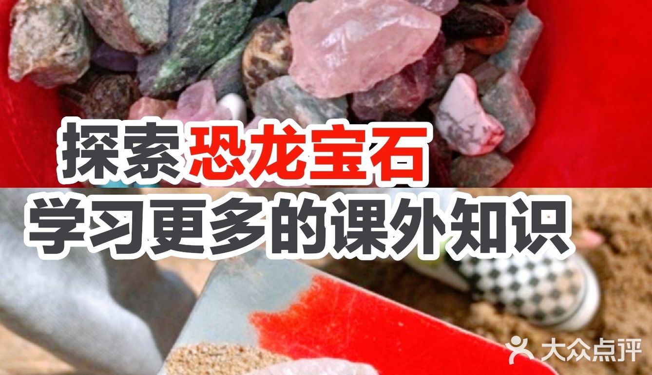 探索恐龙宝石让宝贝学习更多的课外知识😉