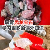 探索恐龙宝石让宝贝学习更多的课外知识😉
