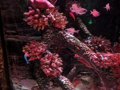 -沈阳海洋探索中心