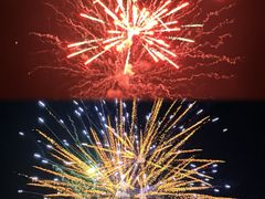 -秋凤鱼丸(金鼎总店)