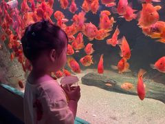 -常州海昌海洋探索馆