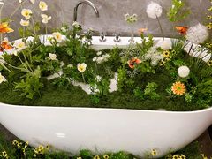-小仙女采耳·按摩·SPA(深圳旗舰店)