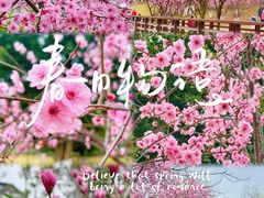 -沐仙湖湿地公园