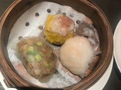 -新同乐鱼翅酒家(美丽华店)