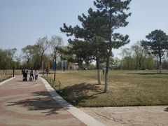 -莫子山公园