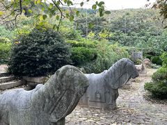 -雨花胜境