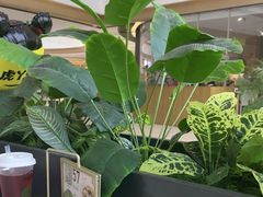 -吕氏疙瘩汤·新派鲁菜(欢乐汇店)