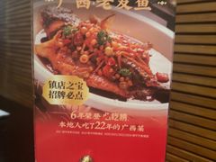 -桂小厨广西菜(万象城店)