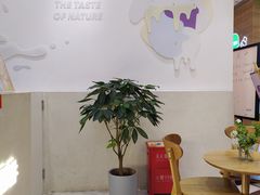 -一只酸奶牛(八一路店)