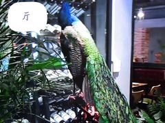 -云上千禾(水上店)