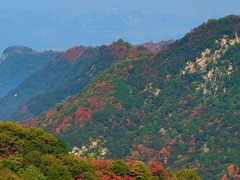 -少华山国家森林公园