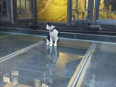 -猫的天空之城概念书店(杭州南宋御街店)