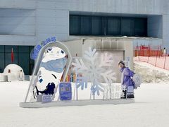 -哈尔滨热雪奇迹