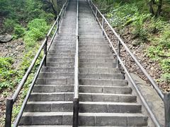 -茅兰沟国家森林公园