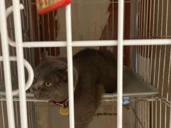 -SeekSeeking咖啡专门店(堰塘街店)