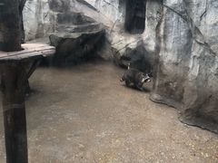-南昌动物园