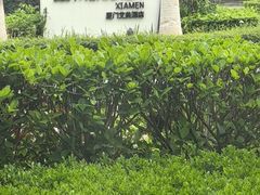 -厦门艾美酒店·新食谱西餐厅