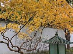 -秋霞圃