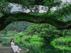 -上坦村