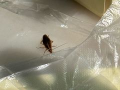 -小骨煲金华砂锅(转塘金街美地店)