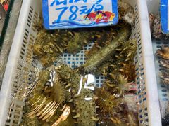 -旺角小渔村·海肠捞饭开创者(环山路店)