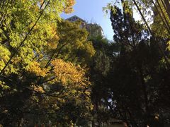 -新竹里馆·花园餐厅(兴苑路店)