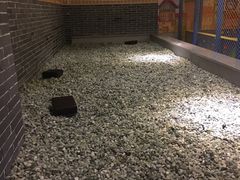 -纽斯洗浴SPA(三墩店)