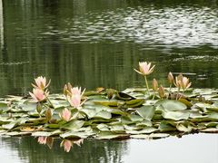 -白鹭湾湿地公园