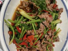 -壹盏灯(惠农店)