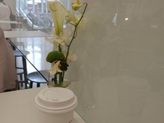 -Seesaw Coffee(上海国金中心店)