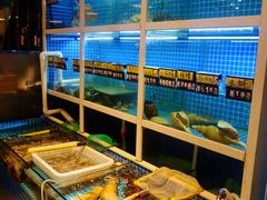 水产区-金龙·打边炉(南京西路店)