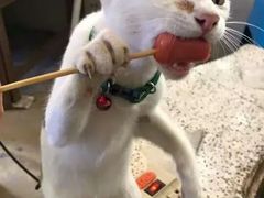 -国庆烧麦馆